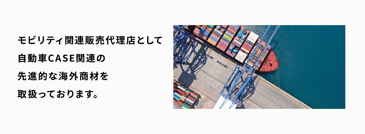 国内輸入販売代理店として自動車CASE関連の先進的な海外商材を取扱っております。